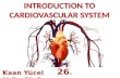 INTRODUCTION TO CARDIOVASCULAR SYSTEM