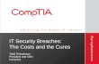 IT Security Breaches:  The Costs and the Cures