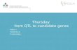 Thursday from QTL  to candidate  genes