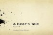 A Bear’s Tale