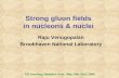 Strong gluon fields  in nucleons & nuclei