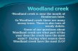Woodland creek