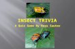 Insect Trivia