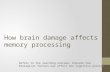 How brain damage affects memory processing