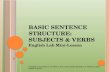 Basic Sentence Structure: Subjects & Verbs