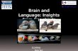 Brain and Language: Insights from Songbirds