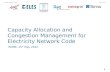 Capacity Allocation and Congestion Management for Electricity Network Code