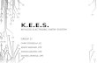 K.E.E.S. Keyless Electronic Entry System