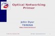 Optical Networking Primer