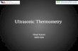 Ultrasonic Thermometry