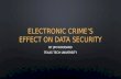 Electronic crime’s effect on data security