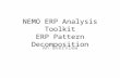 NEMO ERP Analysis Toolkit ERP Pattern Decomposition