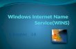 Windows Internet Name  Service(WINS)