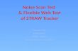 Noise Scan Test  & Flexible Web Test of STRAW Tracker