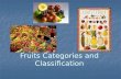 Fruits Categories and Classification