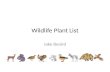 Wildlife Plant List