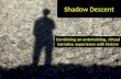 Shadow Descent