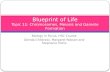 Blueprint of Life Topic  11: Chromosomes, Meiosis  and Gamete Formation