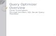 Query Optimizer Overview