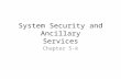 System Security and Ancillary Services