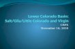 Lower Colorado  Basin: Salt/Gila/Little Colorado and Virgin