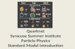 Quarknet Syracuse Summer  Institute Particle  Physics Standard Model Introduction