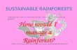 Sustainable rainforests