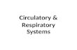 Circulatory & Respiratory