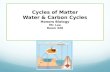 Cycles of Matter Water & Carbon Cycles Honors Biology Mr. Lee Room 320