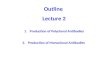 Outline  Lecture 2 Production of Polyclonal Antibodies Production of Monoclonal Antibodies