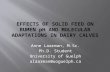 Effects of Solid Feed on Rumen  p H and Molecular Adaptations in Dairy Calves