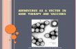 ADENOVIRUS AS A VECTOR IN GENE THERAPY AND VACCINES