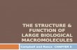 The structure & function of large biological macromolecules