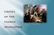 Causes  of the French  Revolution