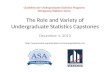 The Role and Variety of Undergraduate Statistics Capstones