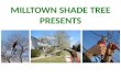 Milltown Shade Tree presents