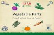 Vegetable Parts Parts? What Kind of Parts?