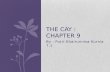 The Cay :  chapter 9