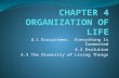 CHAPTER 4 ORGANIZATION OF LIFE