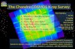 The  Chandra  COSMOS  X-ray Survey