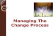 Managing The Change Process