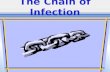 The Chain of Infection