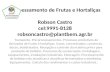 Processamento de Frutas e Hortaliças  Robson Castro cel :9991-8128 robsoncastro@plantbem.agr.br