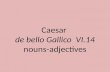 Caesar  de  bello Gallico  VI. 14 noun s-adjectives