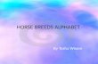 HORSE BREEDS ALPHABET
