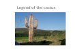 Legend of the cactus