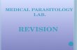 Medical Parasitology Lab.  Revision
