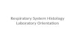 Respiratory System Histology Laboratory Orientation
