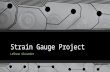 Strain Gauge Project