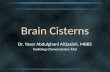 Brain Cisterns